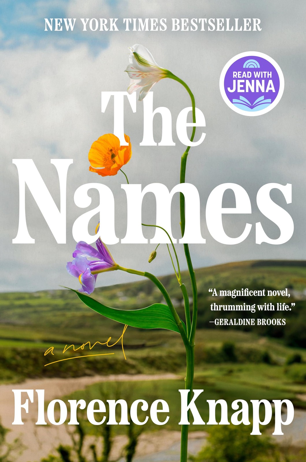 The Names A Powerful Novel of Love Redemption and Identity Hardcover Book