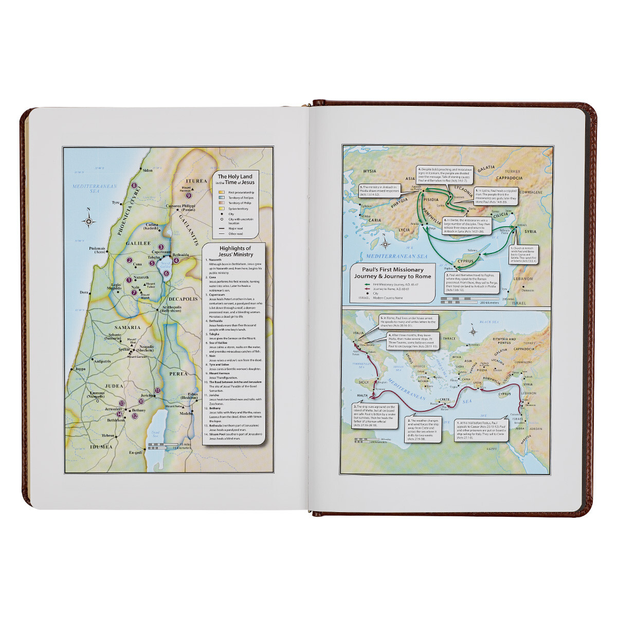 The Holy Bible King James Version Study Bible Indexed Toffee/Burgandy Hardcover