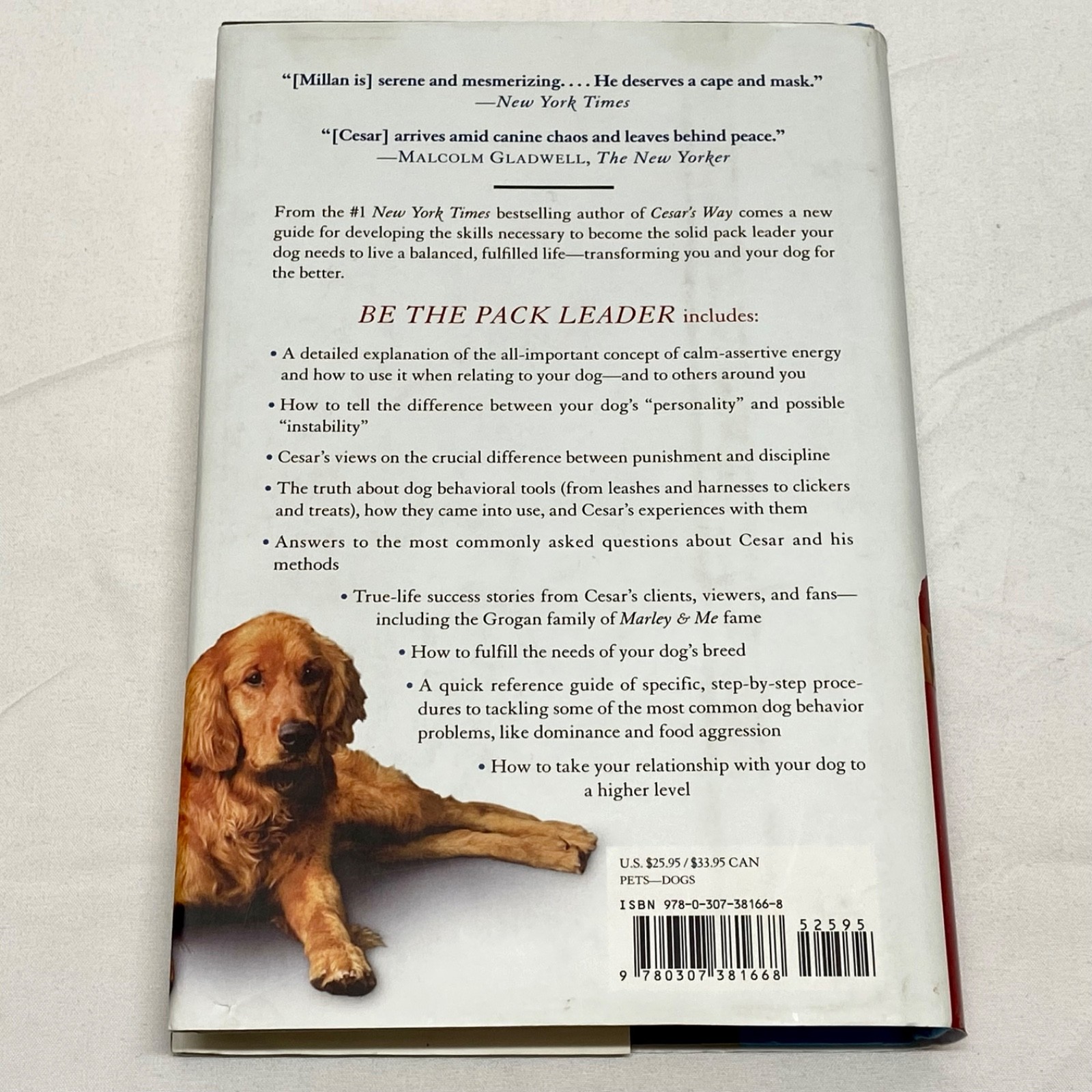 Cesar Millan Signed Pack Leader Use Cesar’s Way Transform Your Dog And Your Life