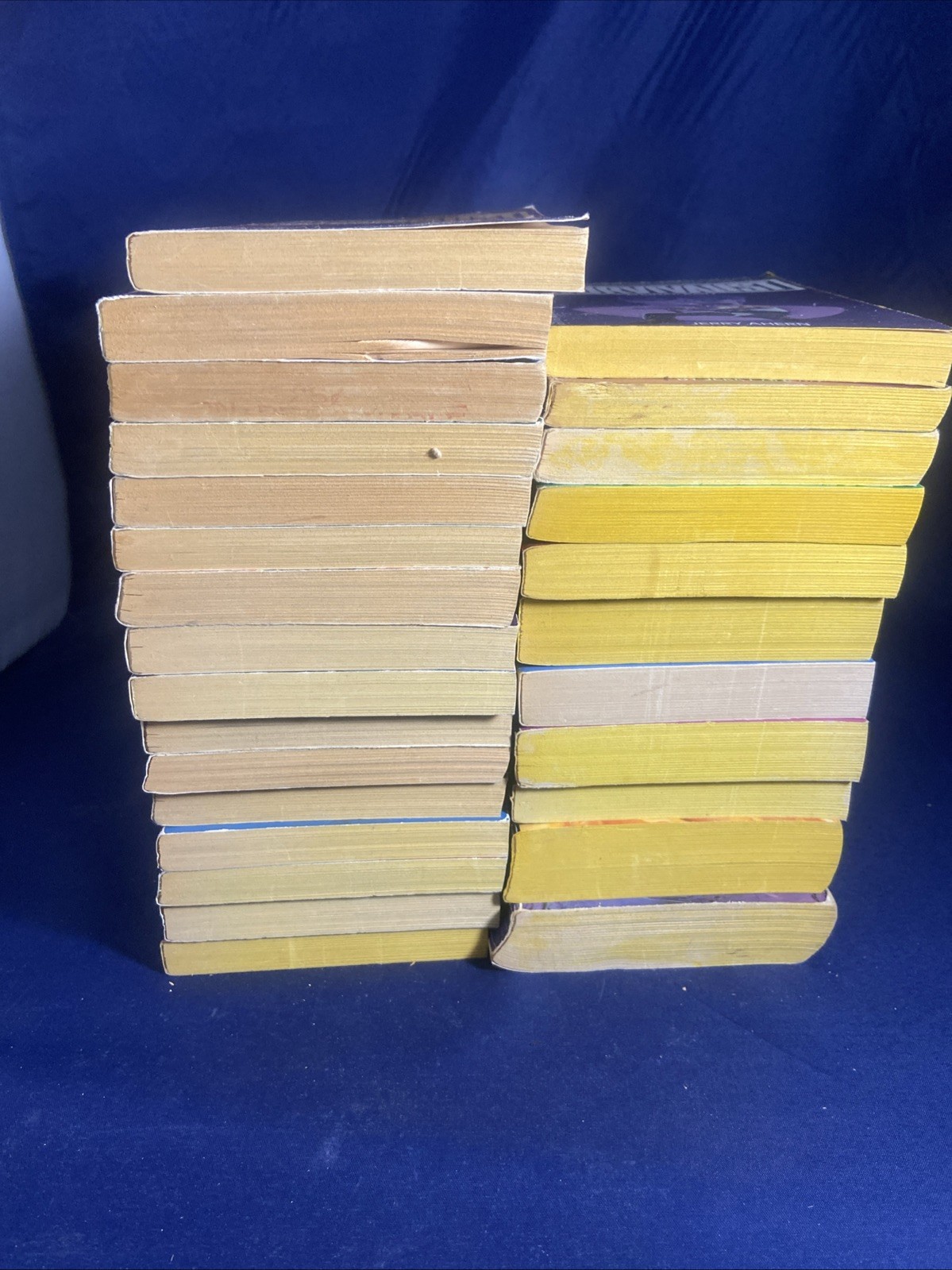 The Survivalist Jerry Ahern PAPERBACK LOT 1-16; 19-24 + Mid-Wake/The Legend NICE