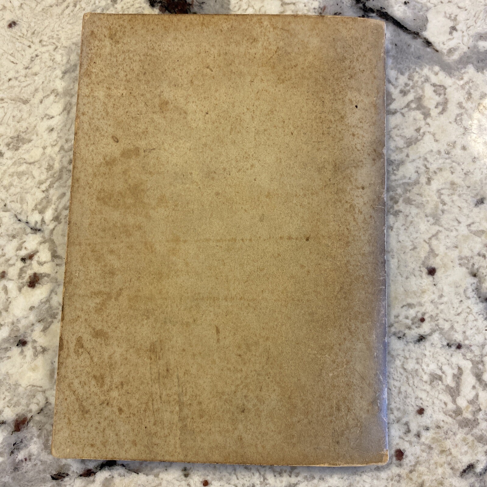 Samantha Among the Brethren Marietta Holley Josiah Allen’s Wife SOFT COVER 1897