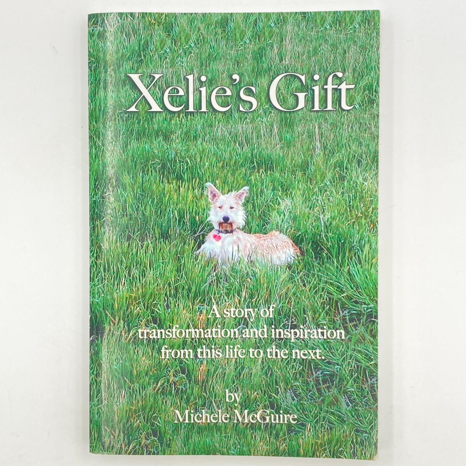 Xelie’s Gift by Michele McGuire (2014, Trade Paperback) GC 272 pages