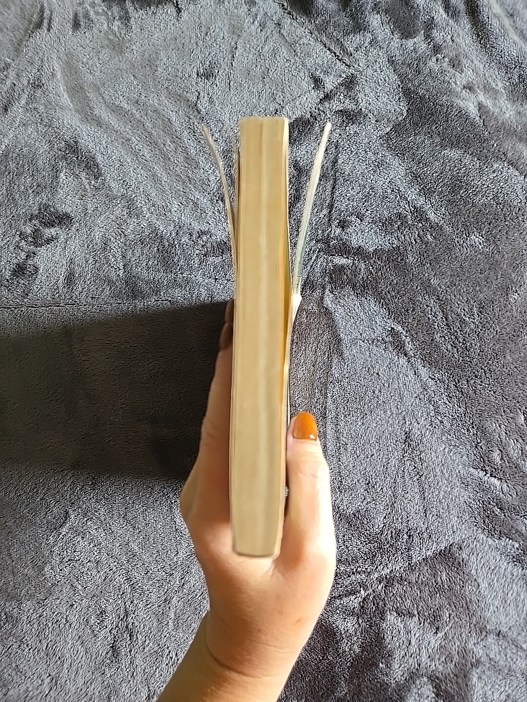 Appalachian Spring Eleanor K. Gustafson Paperback 1984 196 pages (Good)
