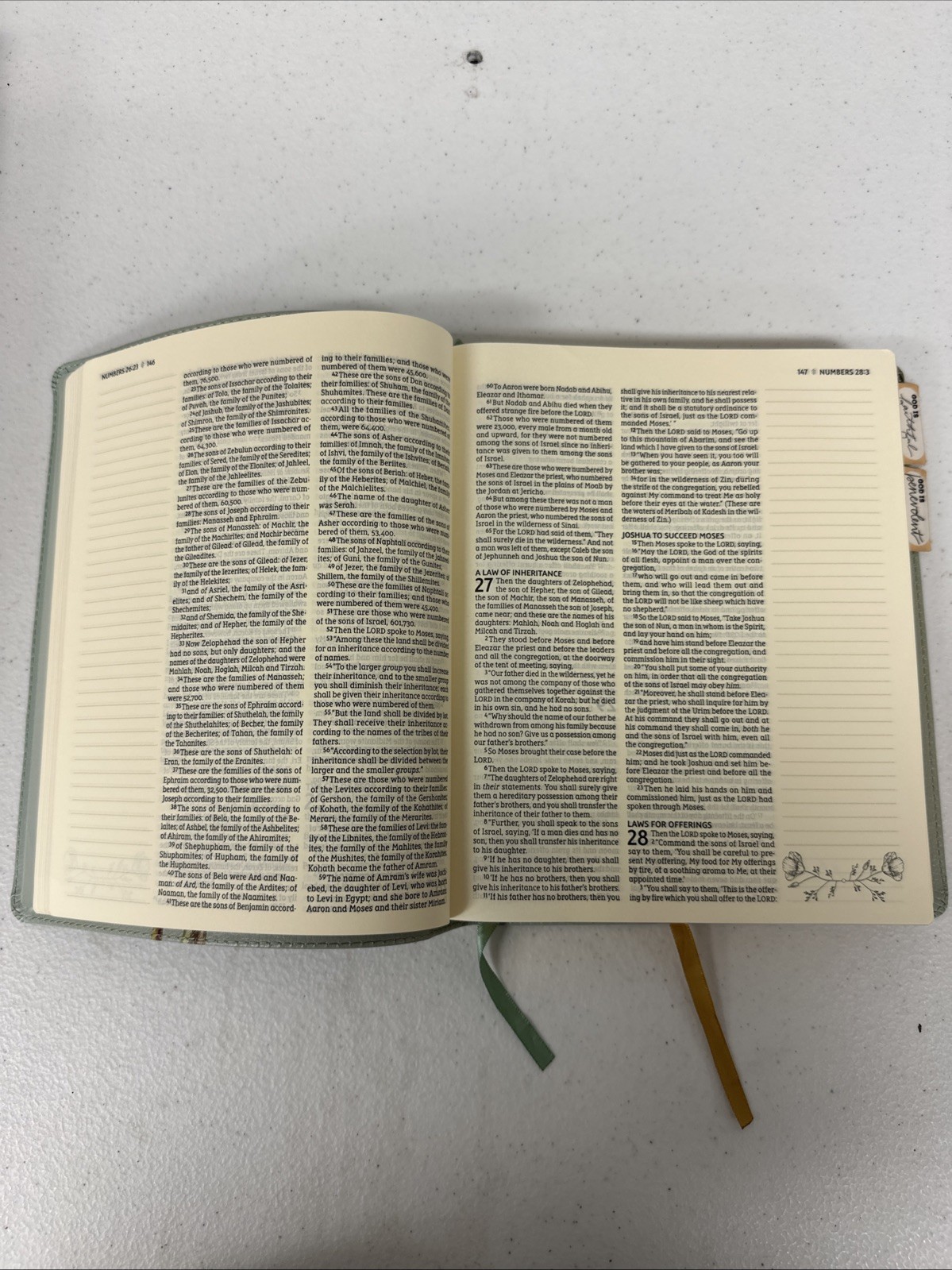 NASB, Artisan Collection Bible, Large Print, Leathersoft, Sage Floral, Red