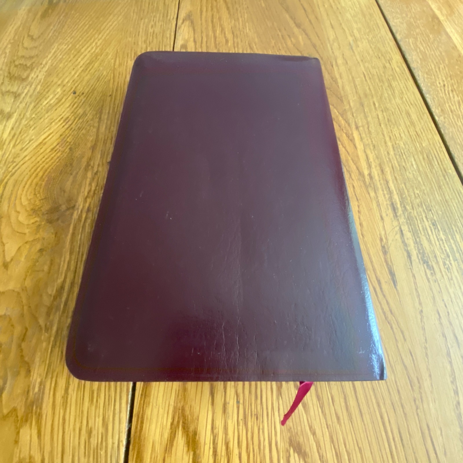 The NIV Rainbow Study Bible Bold Line Edition Burgundy