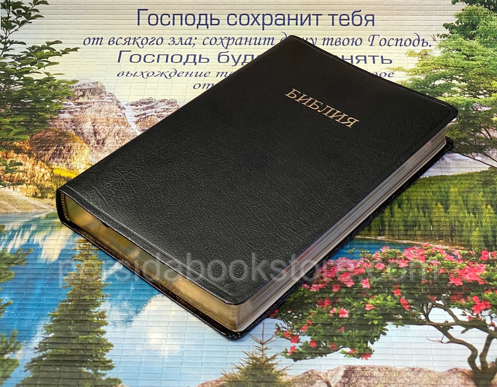 RUSSIAN BIBLE SCOFIELD Русская Библия с комментариями Скоуфилда