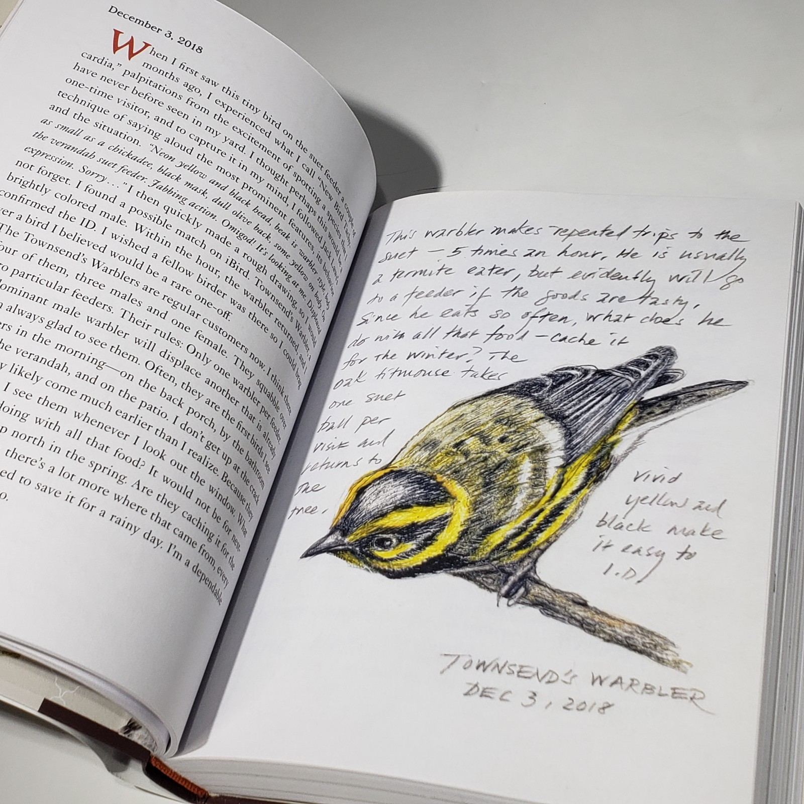 The Backyard Bird Chronicles Amy Tan Dust Jacket