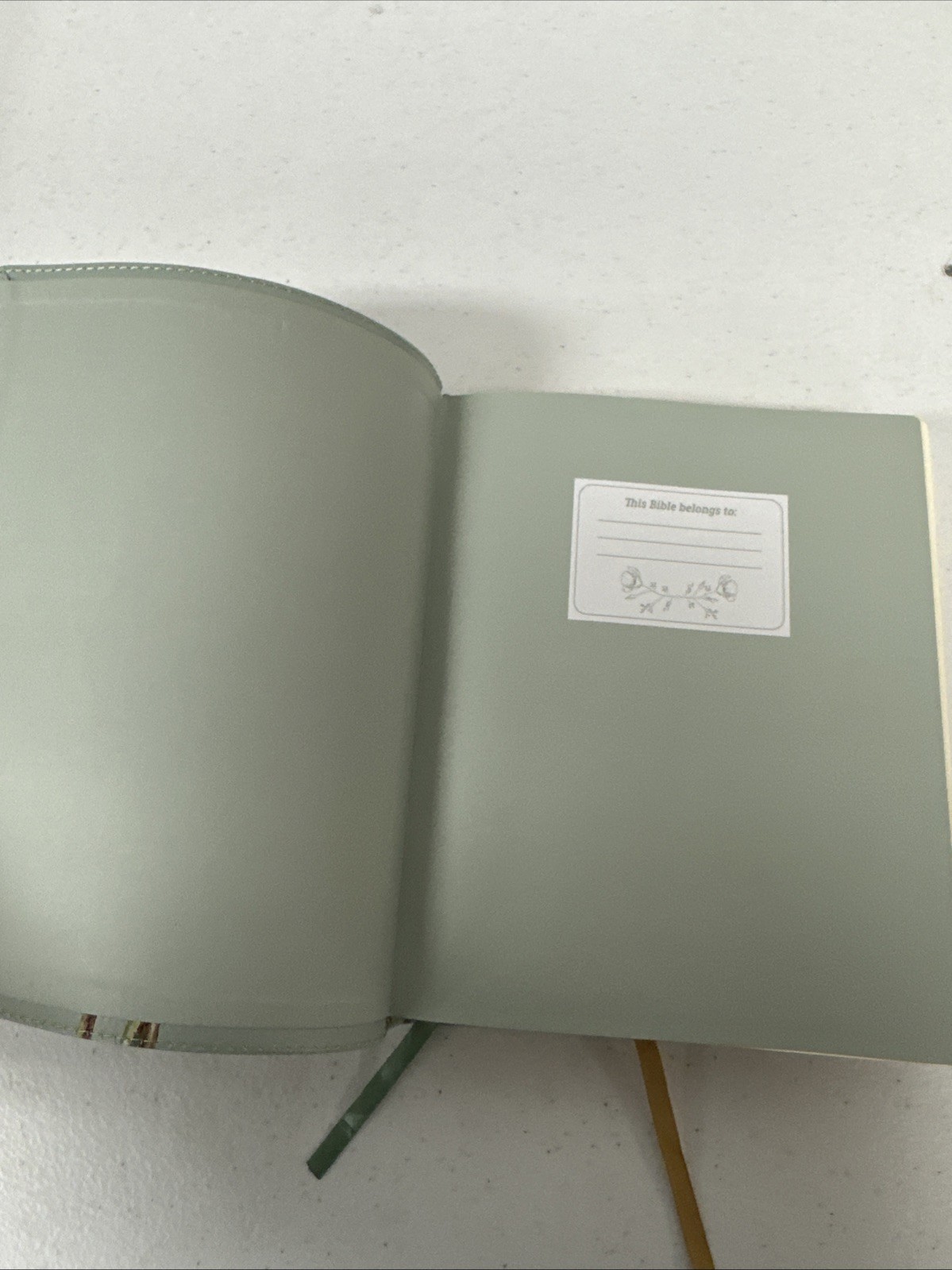 NASB, Artisan Collection Bible, Large Print, Leathersoft, Sage Floral, Red
