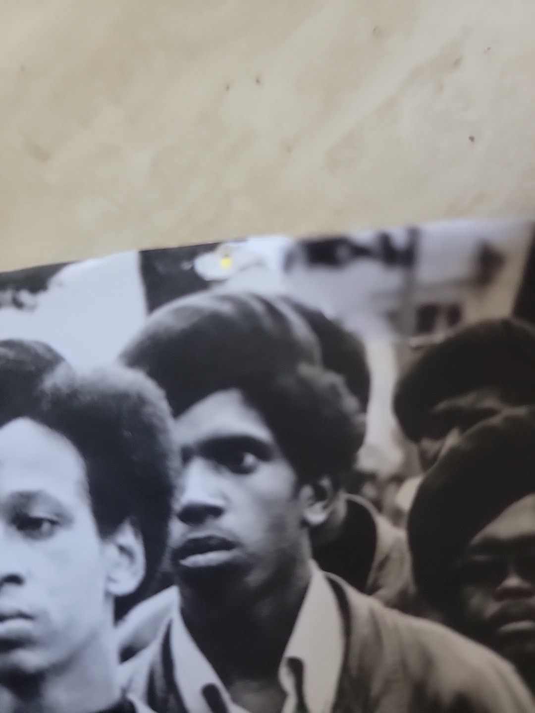 Power to the People.The World of the Black Panthers.