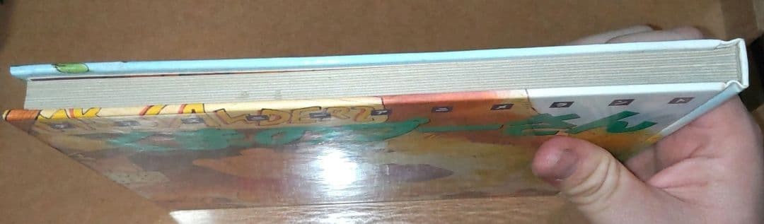 Disney Animeland Winnie the Pooh Picture Book Collectible First Edtion Used