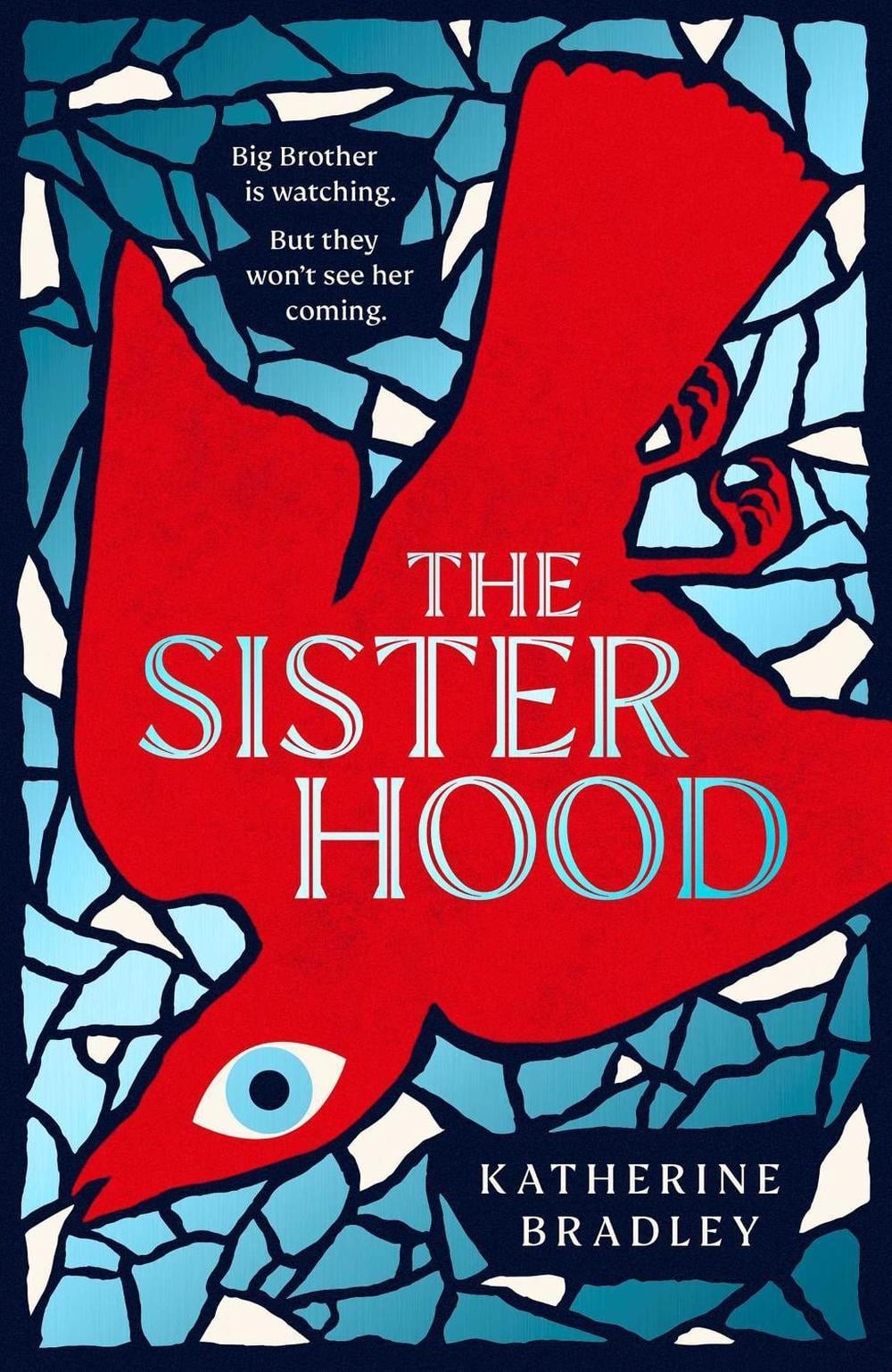 The Sisterhood: Big Brother is watching. But they won’t see her coming. by Kathe