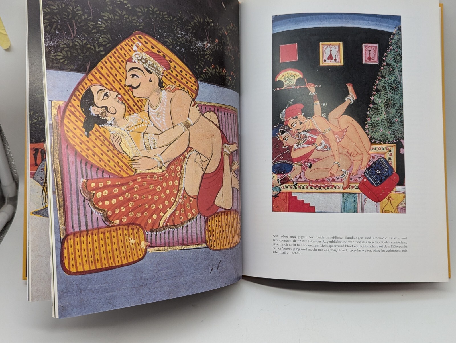 Das Kamasutra des Vatsyayana gebunden sehr guter Zustand