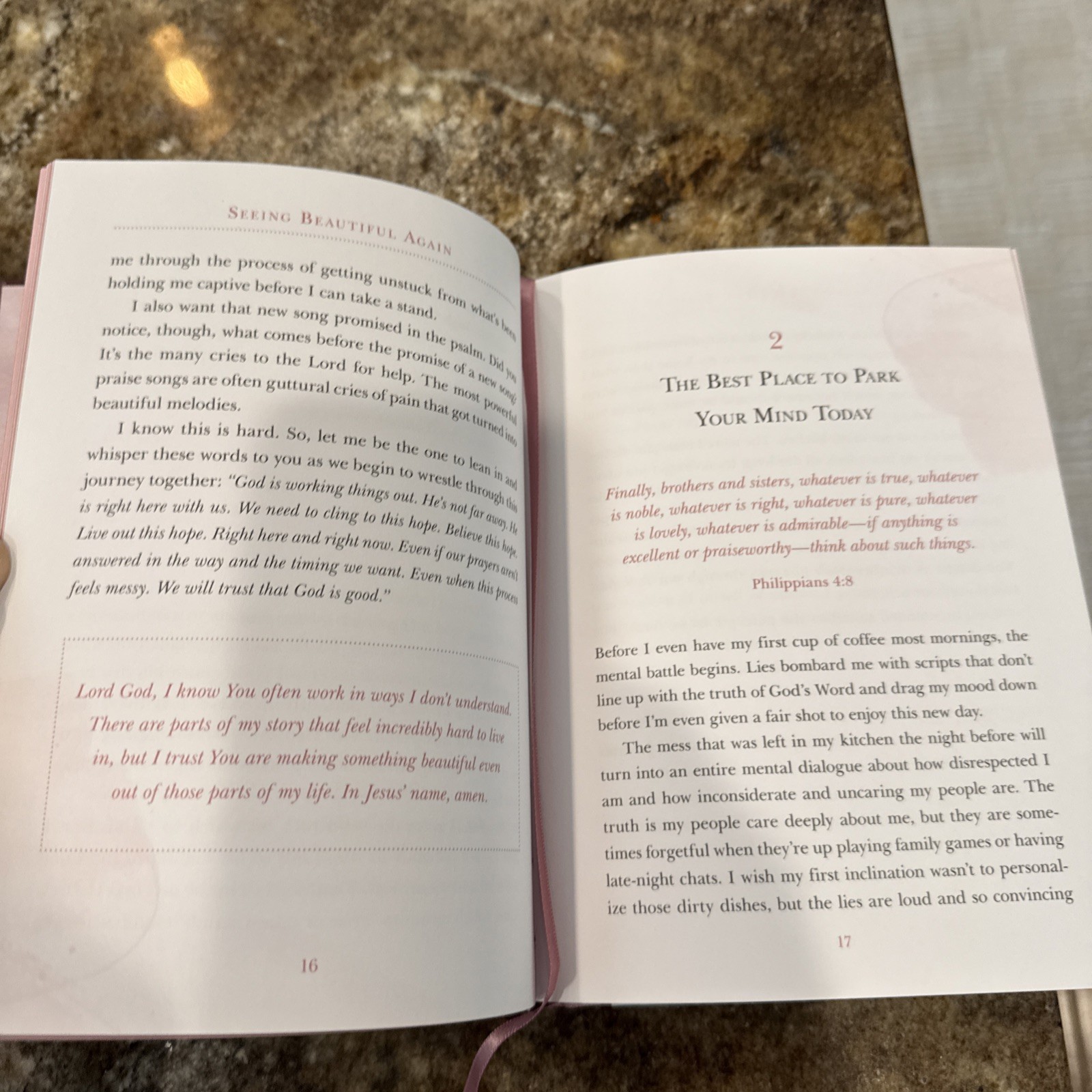 Seeing Beautiful Again, Lysa Terkeurst 50 Devotions With Journal Pages New
