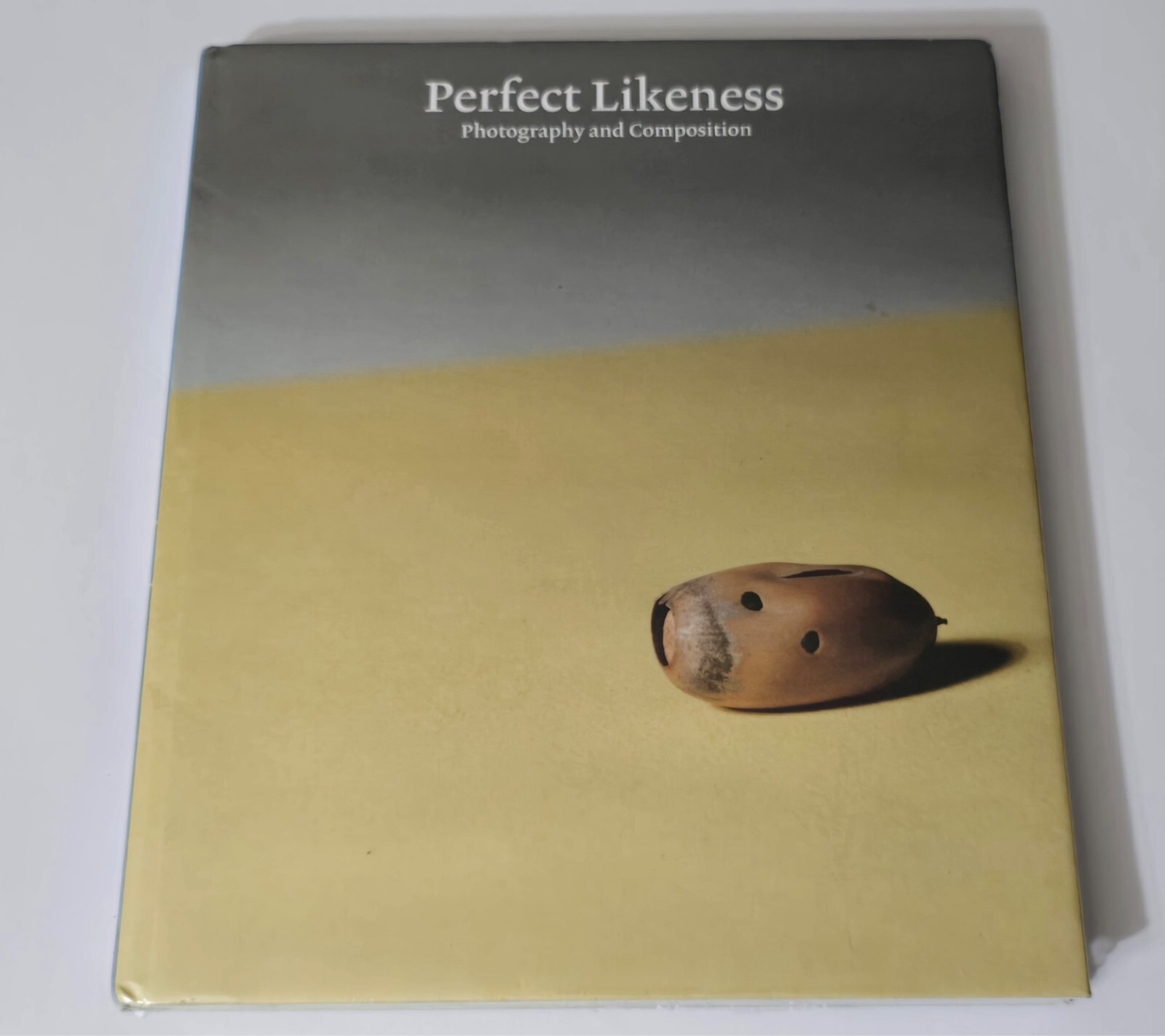 PERFECT LIKENESS SEALED WILLIAM EGGLESTON PHOTOGRAPHY COMPOSITION ART PHOTO BOOK