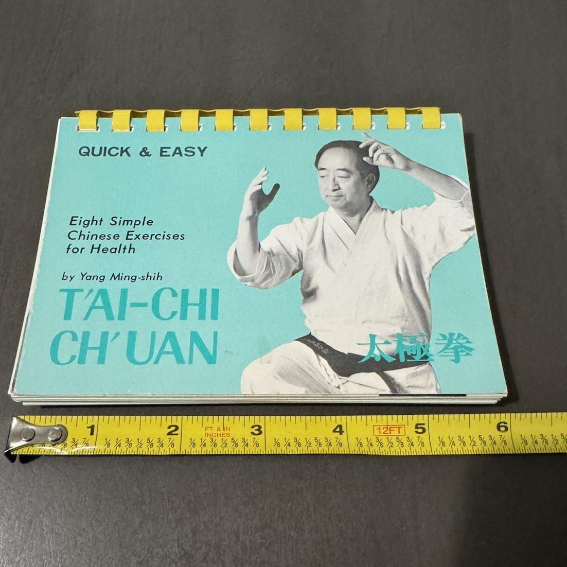 Quick & Easy T’ai-Chi Ch’uan Yang Ming-Shih Ring/Wire Bound 1974 Shufunotomo