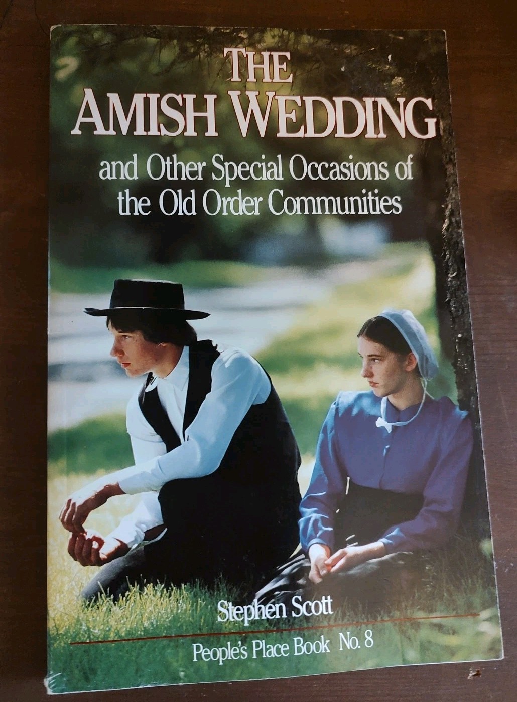 The Amish Wedding By Stephen Scott