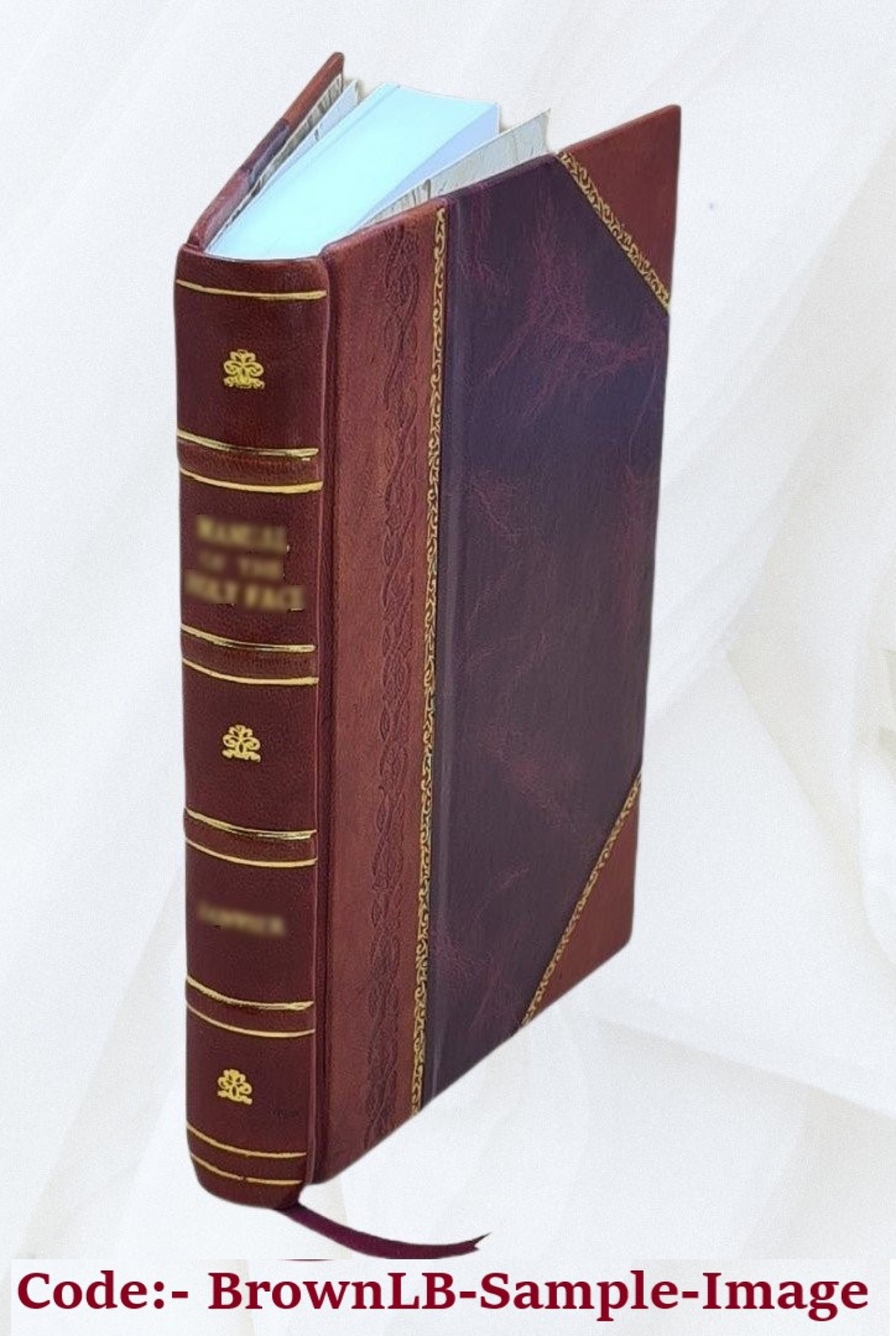 Newton’S Principia The Mathematical Principles Of Natural Philos [Leather Bound]