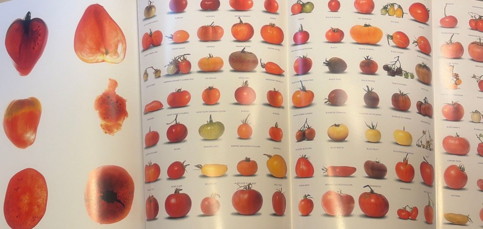 Les Tomatoes Ju Prince Jardinier Hardcover Book – 650 Varieties With Photos