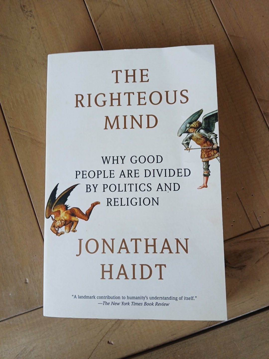 The Righteous Mind: Why Good People Are Divided by Politics and Religion (Paperb