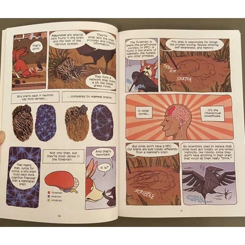 Science Comics Series: Get to Know Your Universe 30 Books Full Set – Free DHL