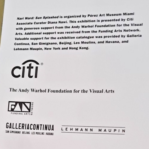 Nari Ward: Sun Splashed – Perez Art Museum Miami – Andy Warhol Foundation W2