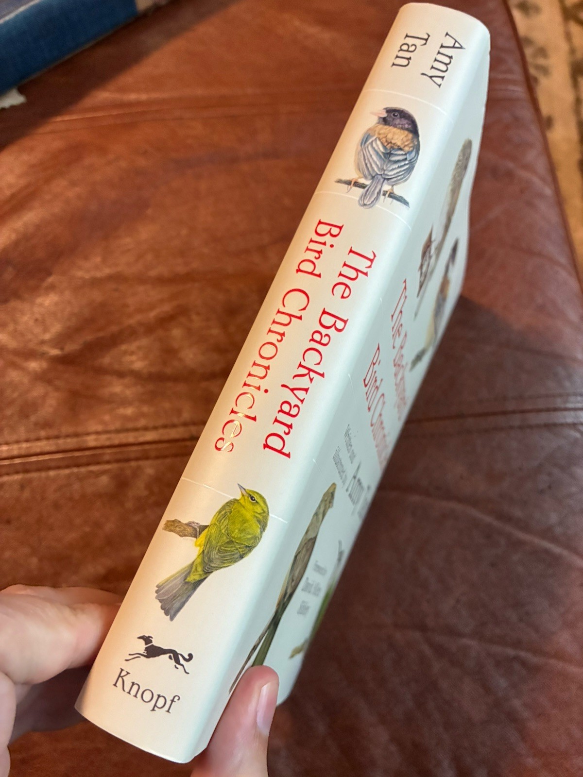 The Backyard Bird Chronicles Flexibound –2024 by Amy Tan