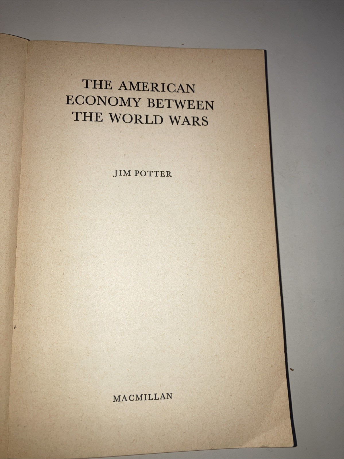 American Economy Between the World Wars SC Jim Potter 1974 Anchor Press Good