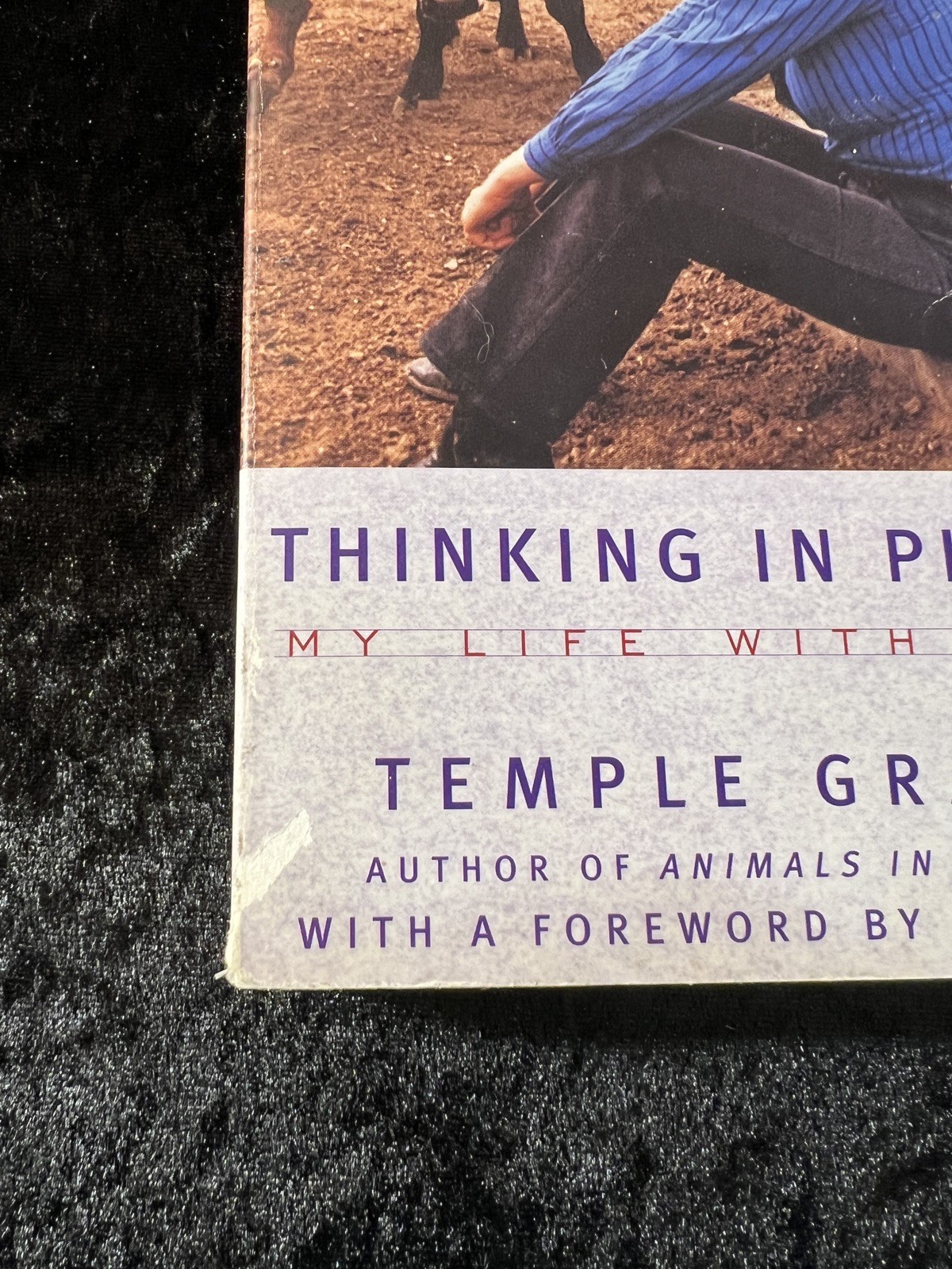 SIGNED ‘Thinking in Pictures’ — Temple Grandin (Expanded Edition Softcover)