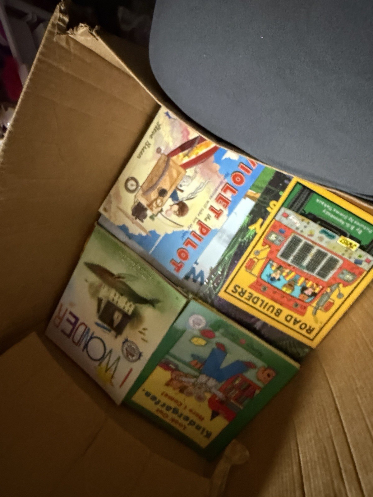 LOT 60 DOLLY PARTON IMAGINATION LIBRARY PICTURE BOOKS A Few Duplicates