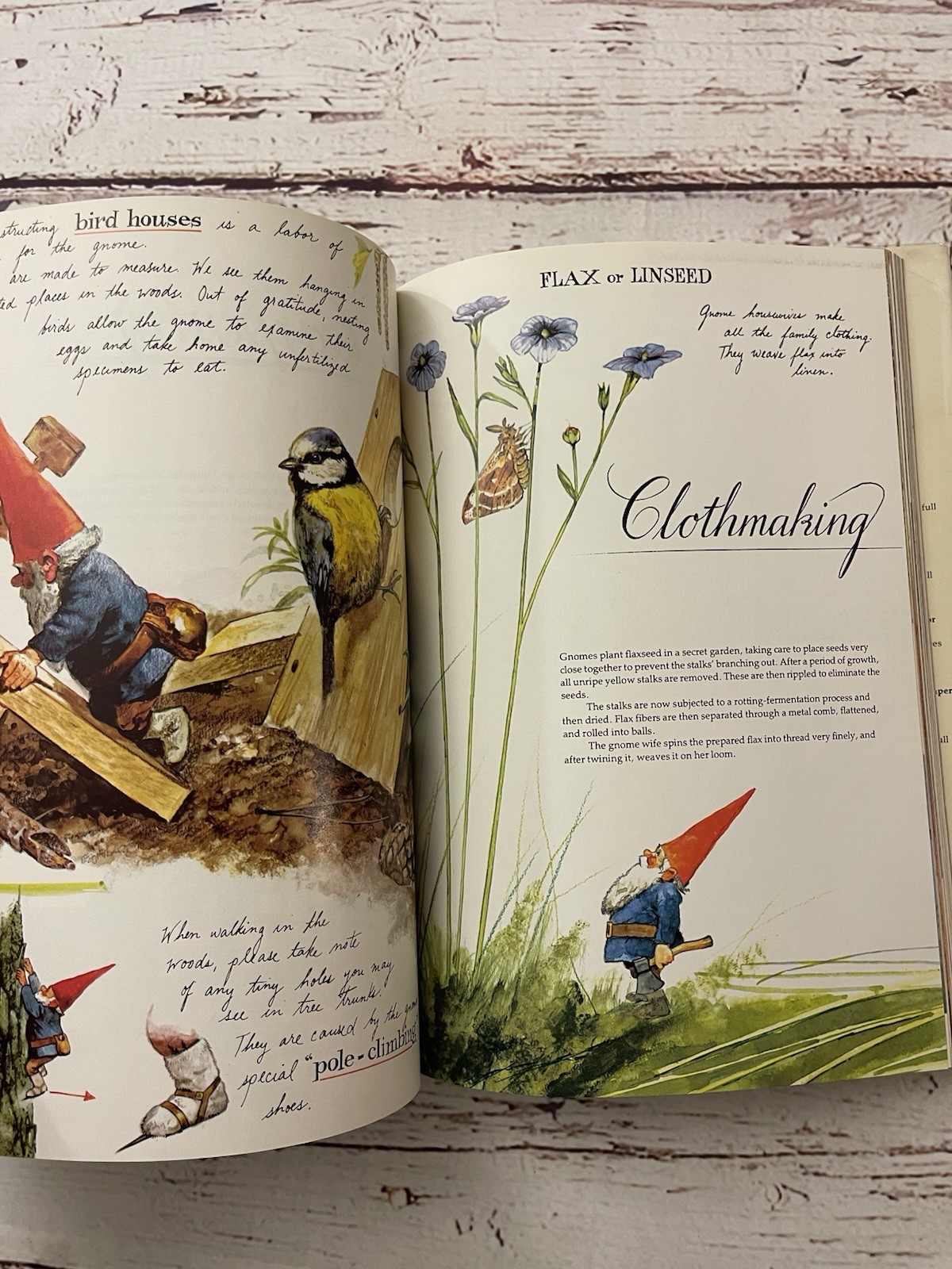 Gnomes by Rein Poortvliet & Wil Huygen 1977 Hardcover + Dustjacket Abrams