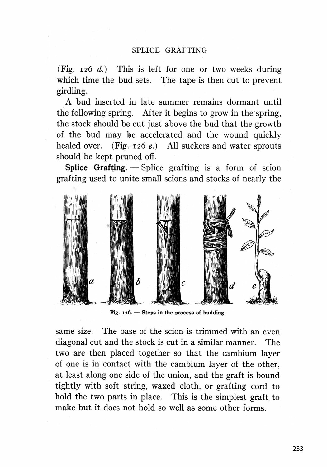Classic Farming, Plant Production, and Horticulture: Special Edition Book *NEW*