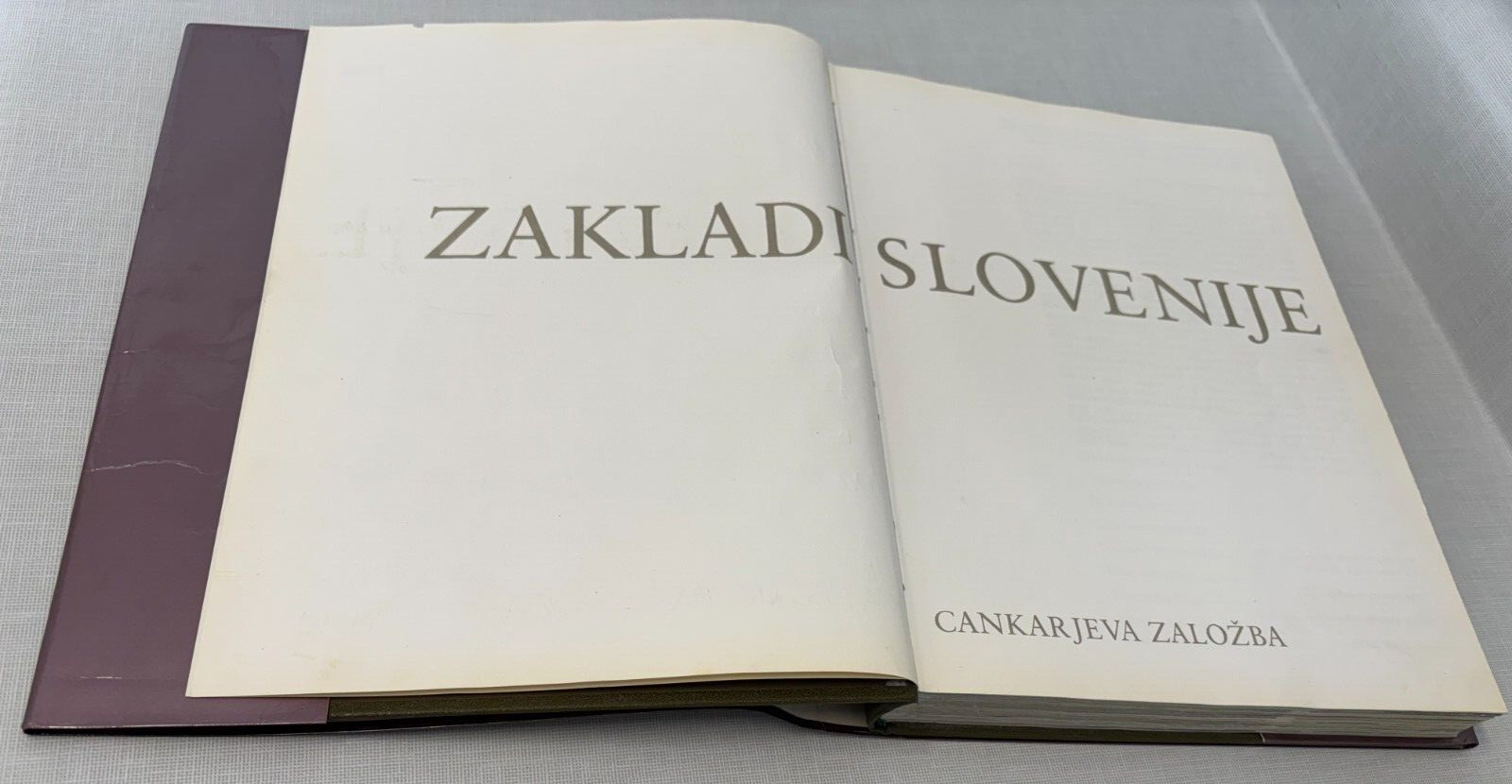 Zakladii Slovenije Cankarjeva Zalozba Slovenia LN- 1983 hdbk 11.75 x 8.75″