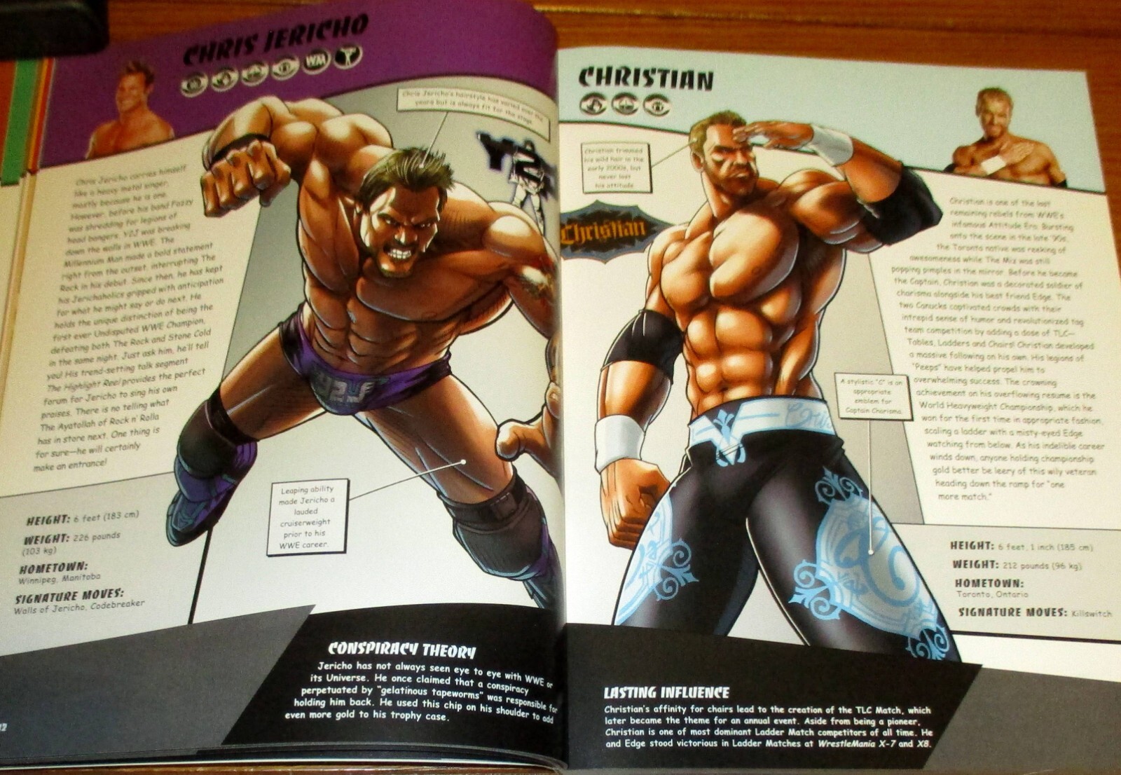 2015 WWE Ultimate Superstar Guide Softcover Book 207 Pages