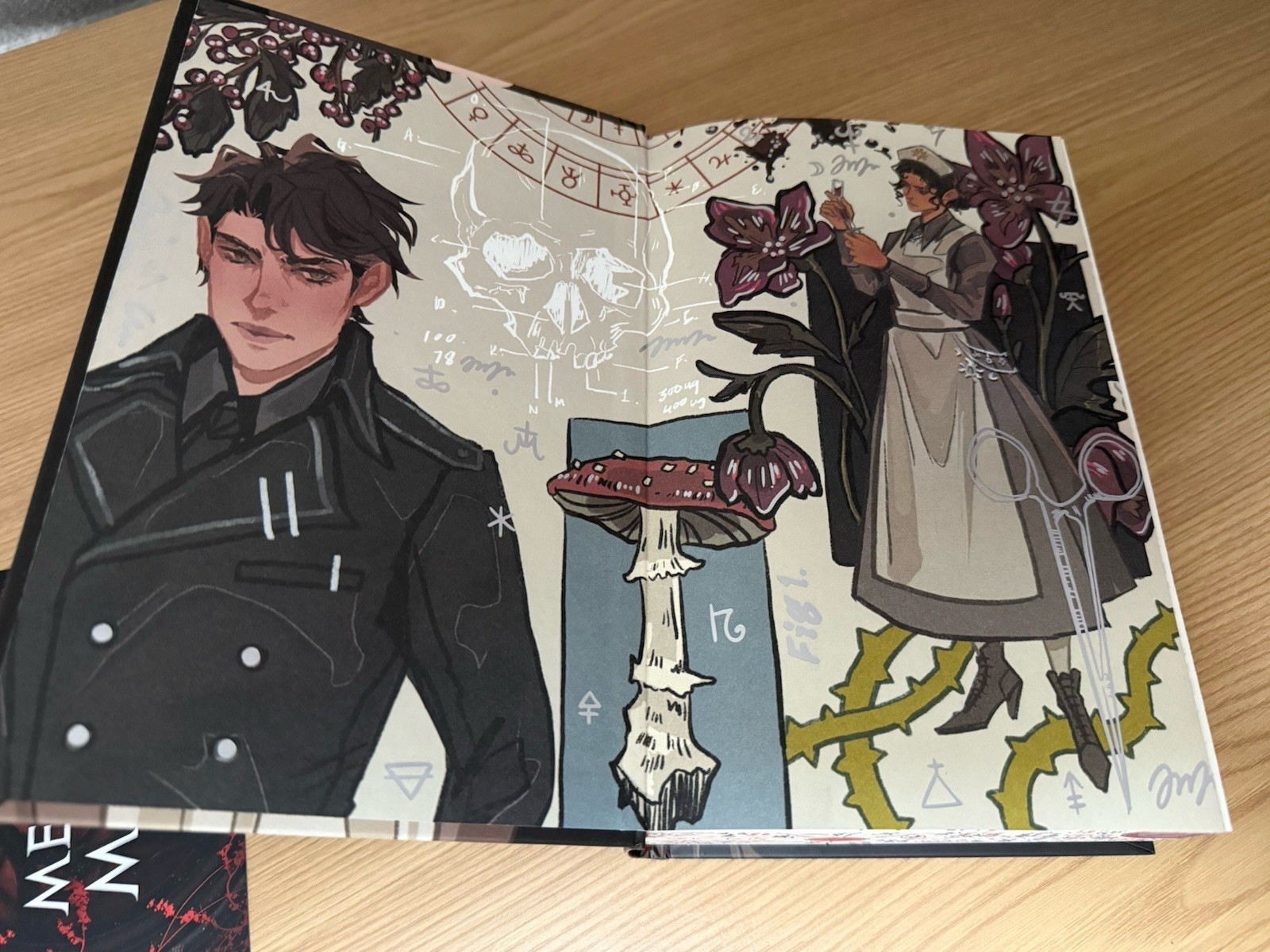 Alchemised Special Edition Set SenLinYu Fairyloot Bücherbüchse Dreamerwhale WS