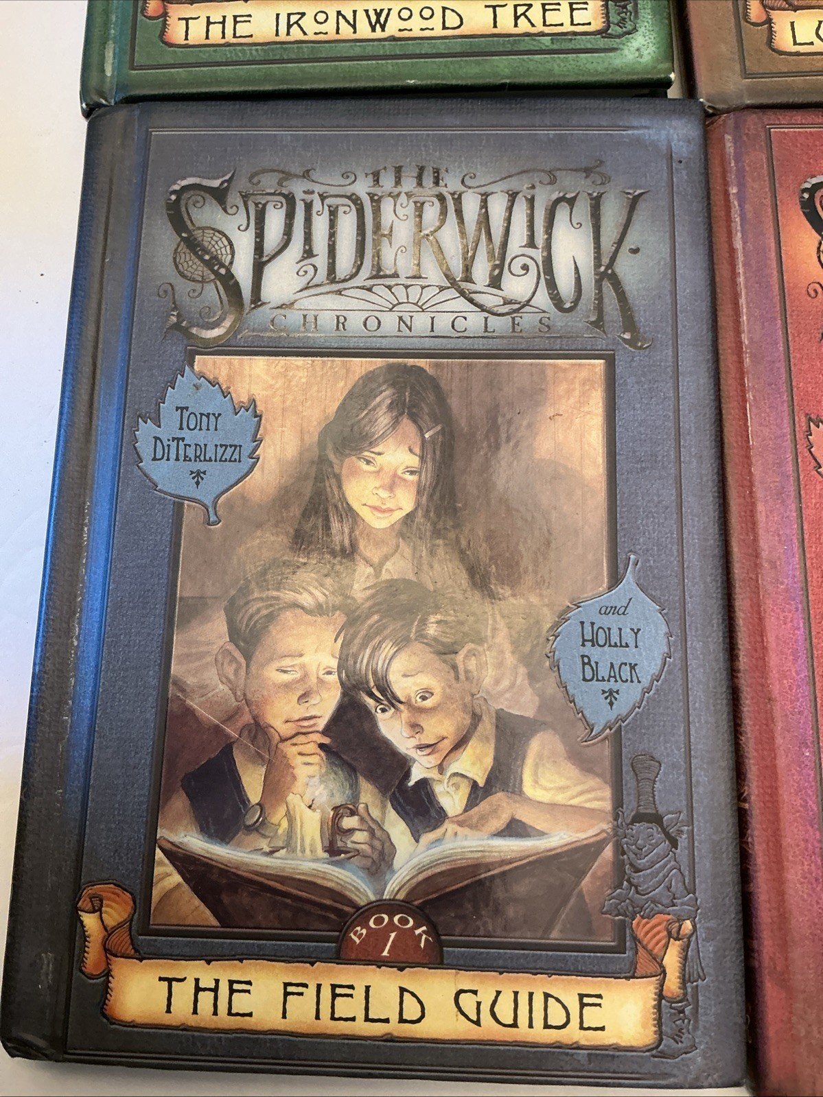 The Spiderwick Chronicles Series All 4 Books in Hardcover Box Lot Set