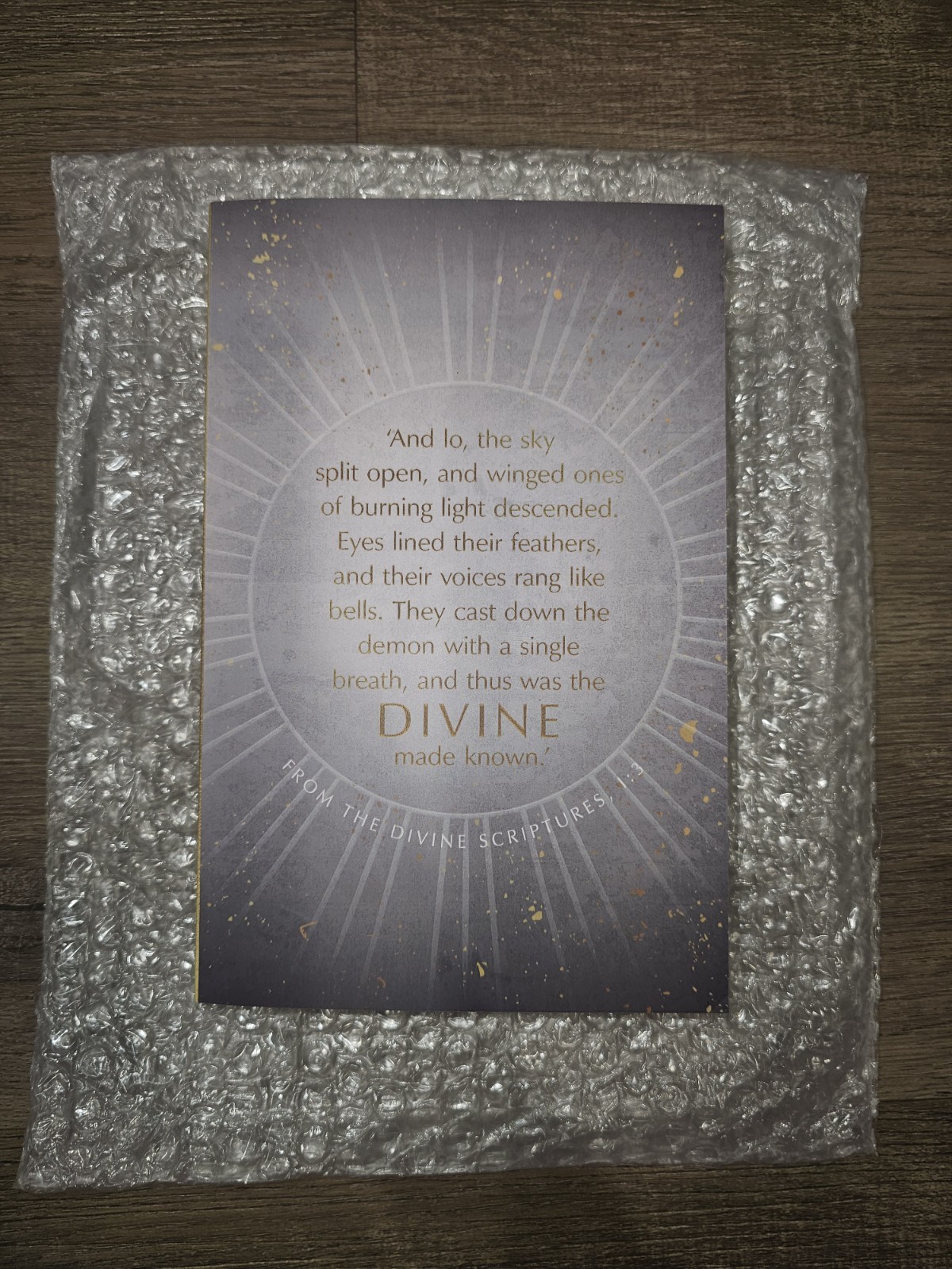 The Wretched Divine by Adalyn Grace AUS ARC UNCORRECTED PROOF COPY Sept 2026
