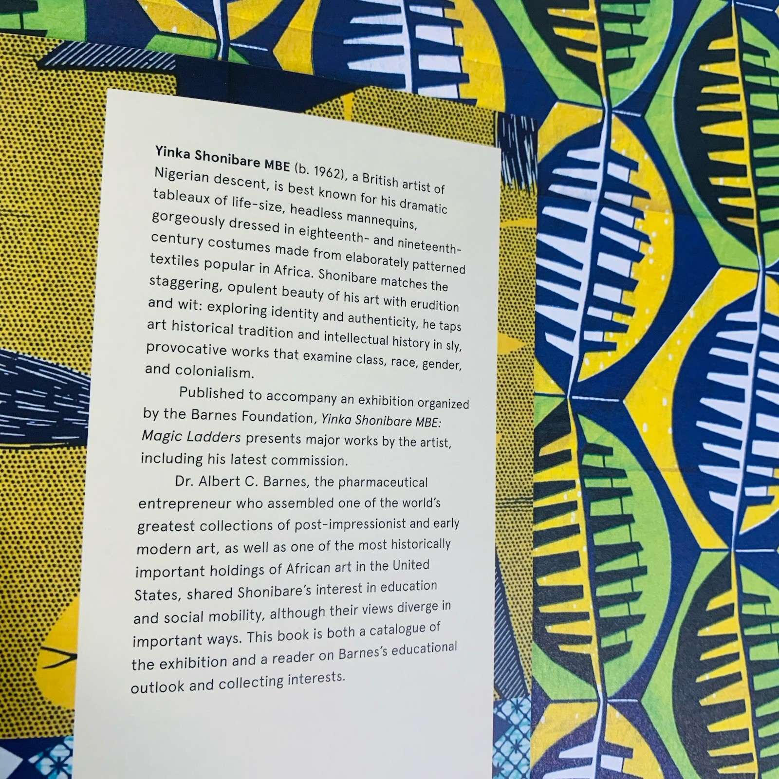 Yinka Shonibare MBE: Magic Ladders