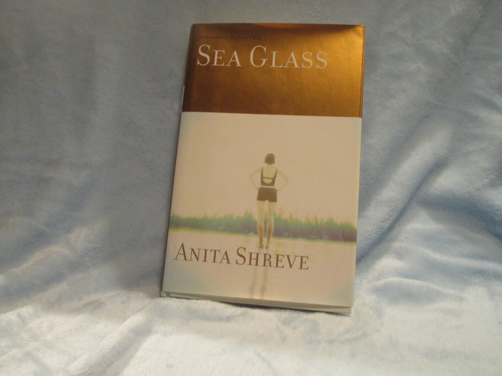 The Fortune’s Rocks Quartet Ser. : Sea Glass by Anita Shreve