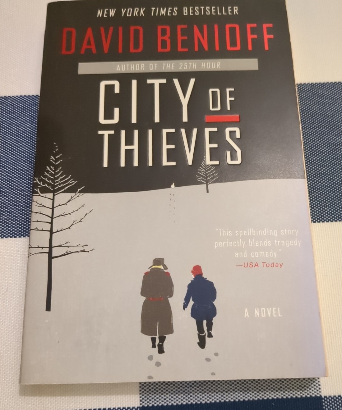 City of Thieves : A Novel by David Benioff (2009, UK-B Format Paperback)