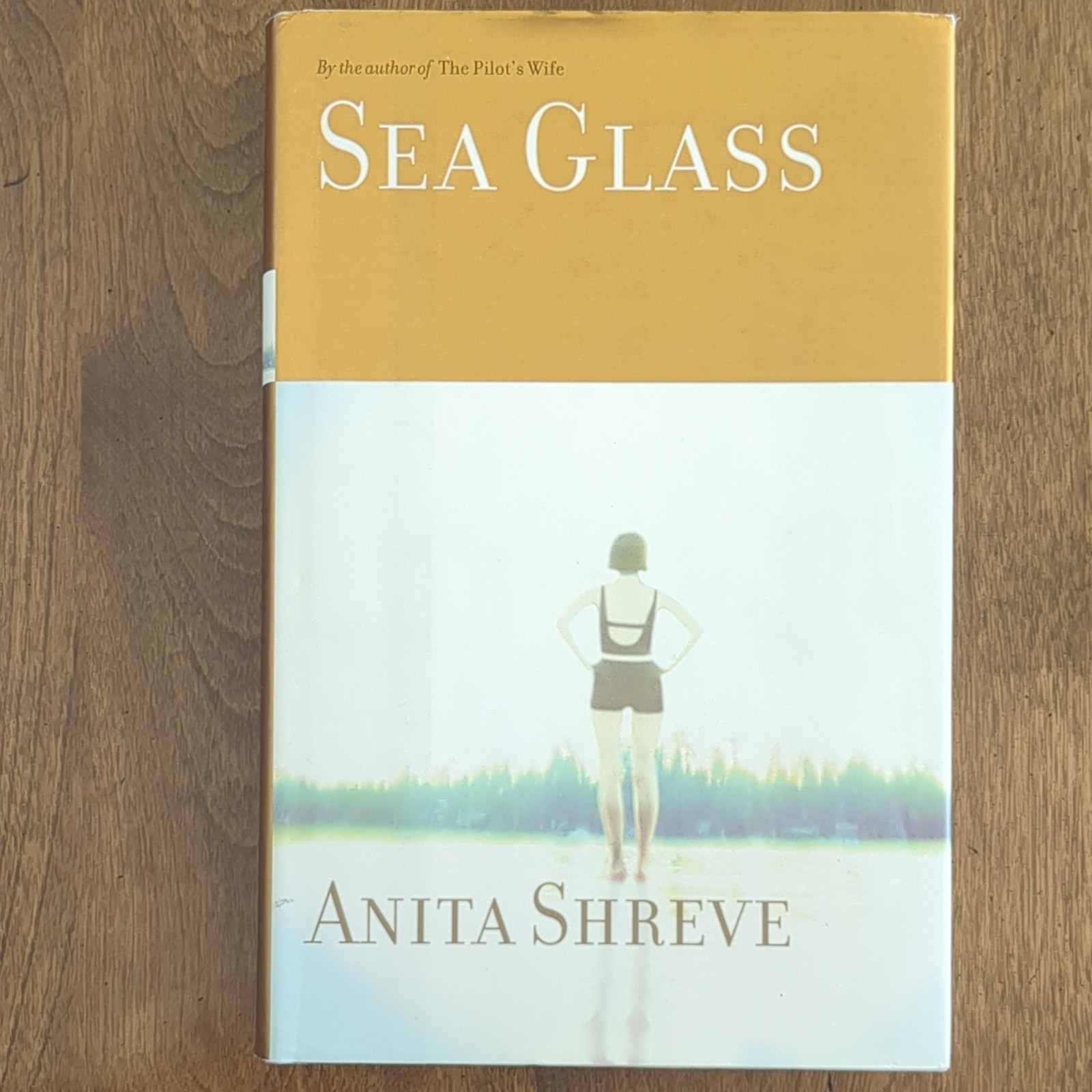 Anita Shreve Sea Glass First Edition Hardcover Dust Jacket Little Brown 2002