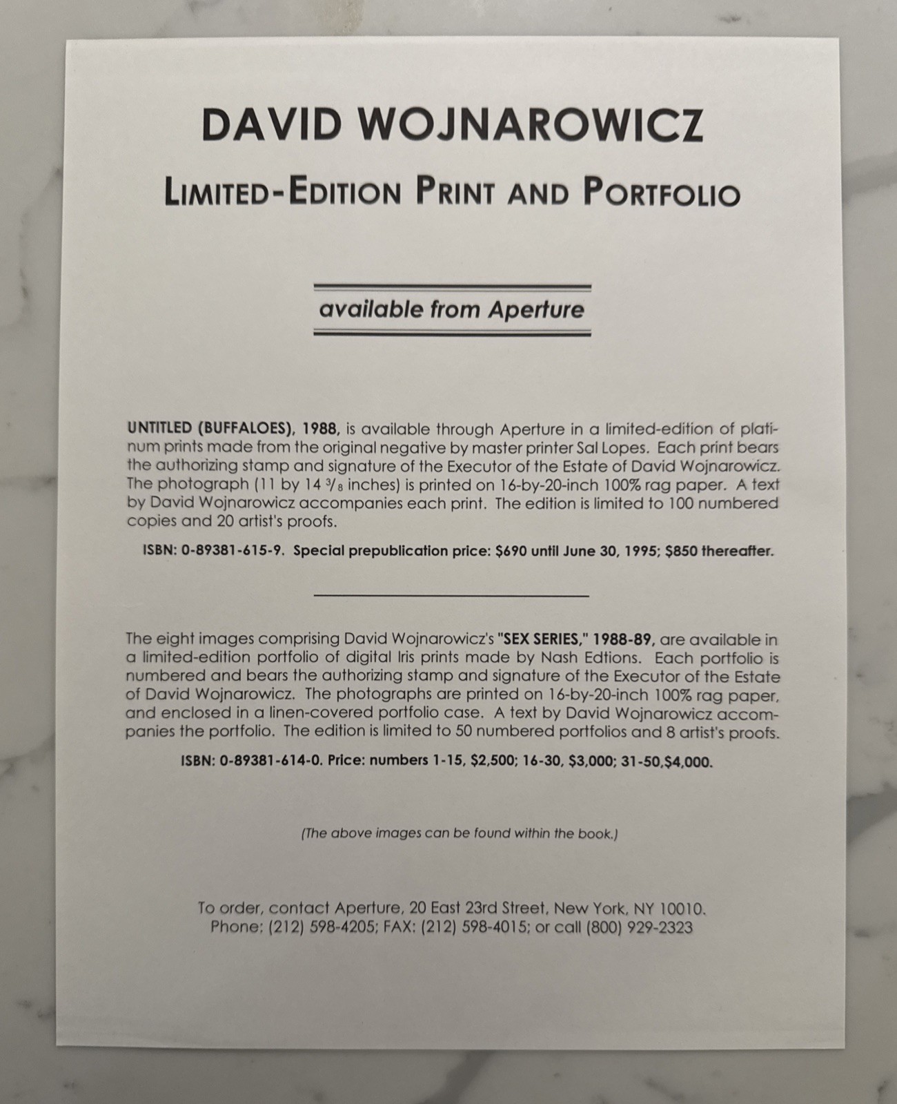 David Wojnarowicz : Brushfires in the Social Landscape (Hardcover, 1st/1st 2002)