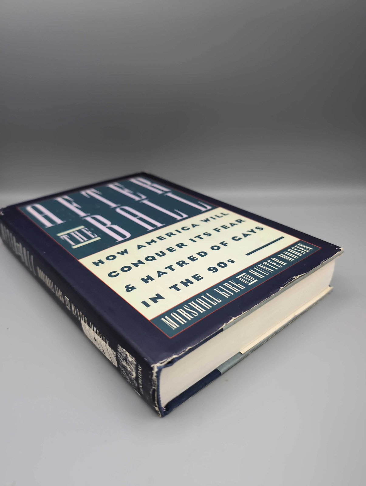 After the Ball: How America Will Conquer Its Fear and Hatred of Gays in the 90’s