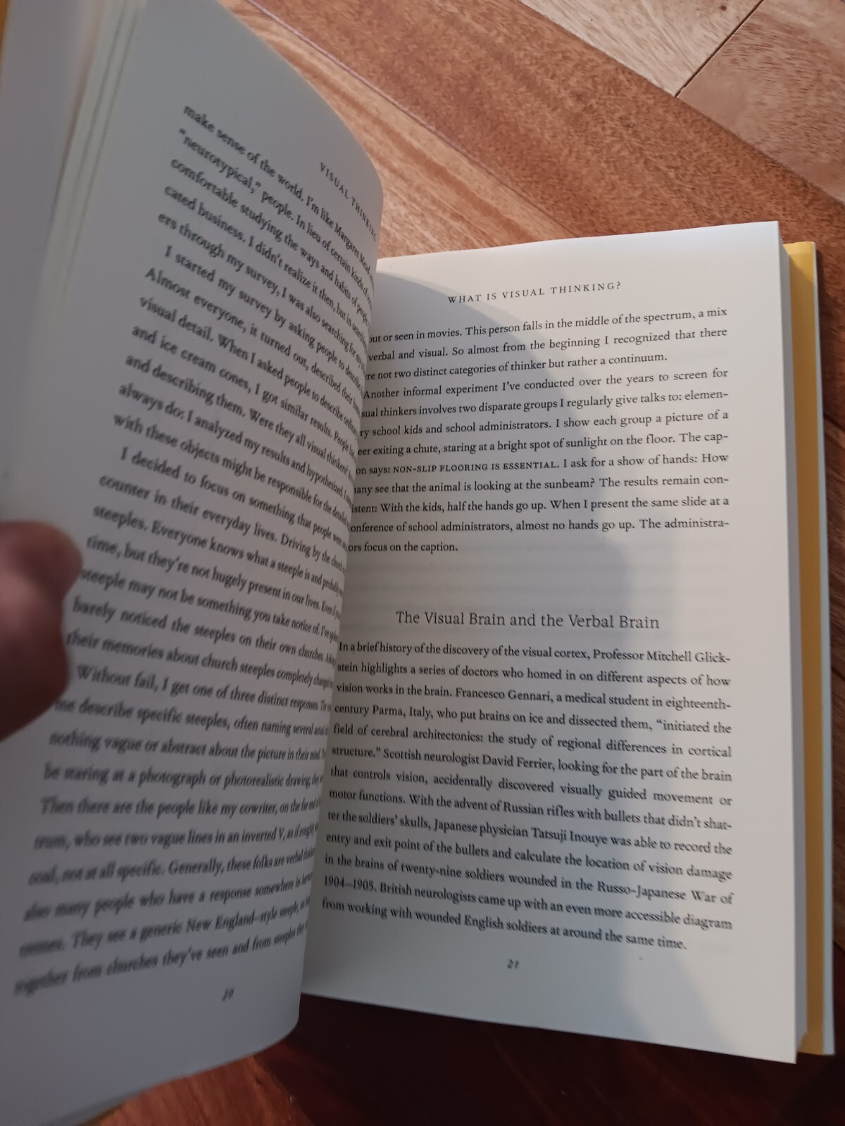 Visual Thinking : The Hidden Gifts of People By Temple Grandin NEW Paperbck 2022