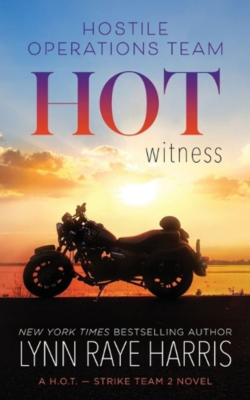 HOT Witness: An Undercover, Enemies to Lovers, Military Protector Romance (Exten