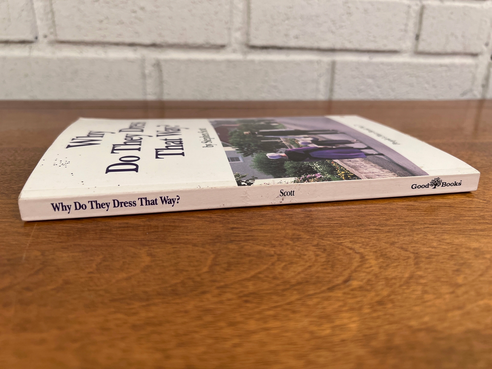 Why do they dress that way by Stephen Scott, People’s Place Books no. 7