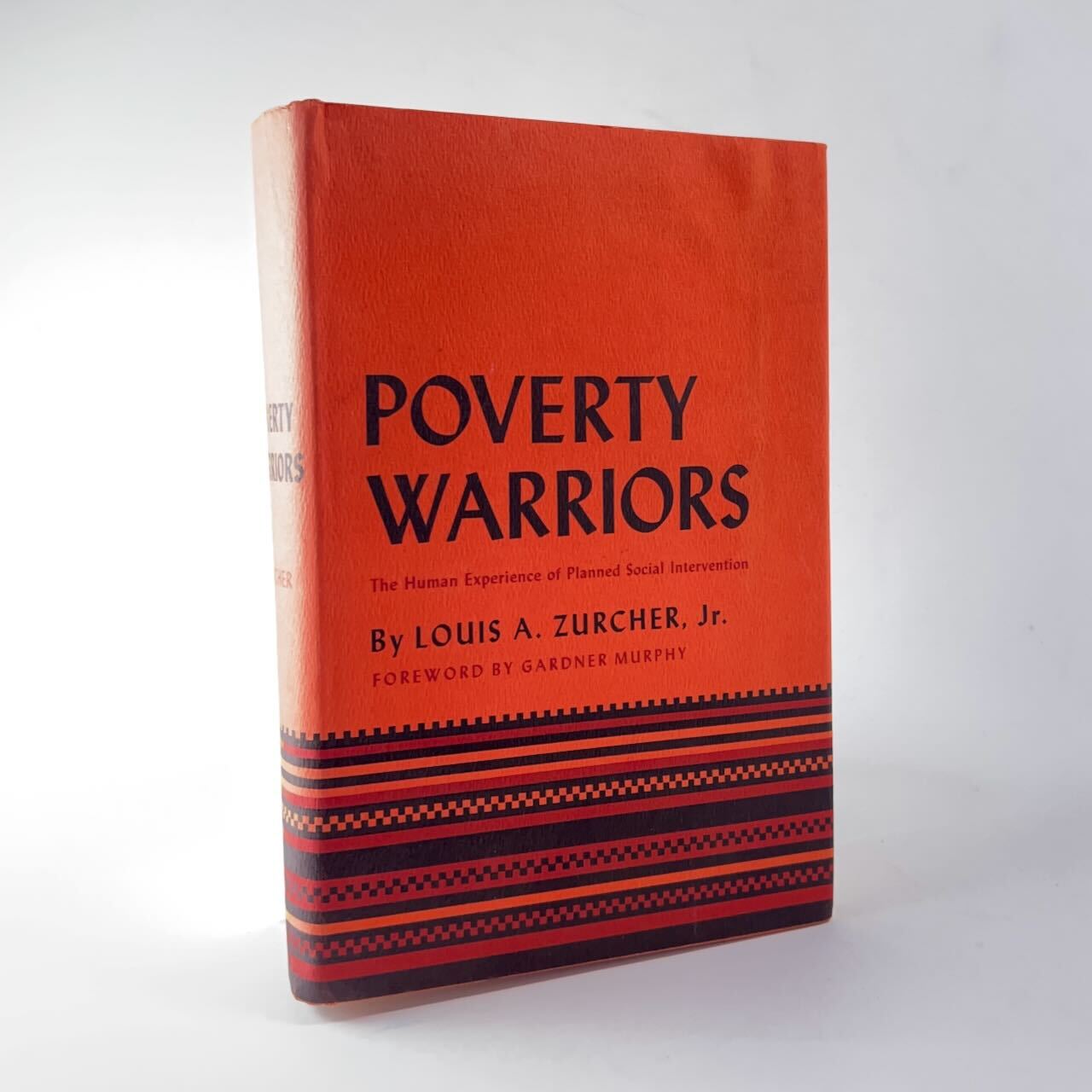 Poverty Warriors: The Human Experience of Planned Social Intervention