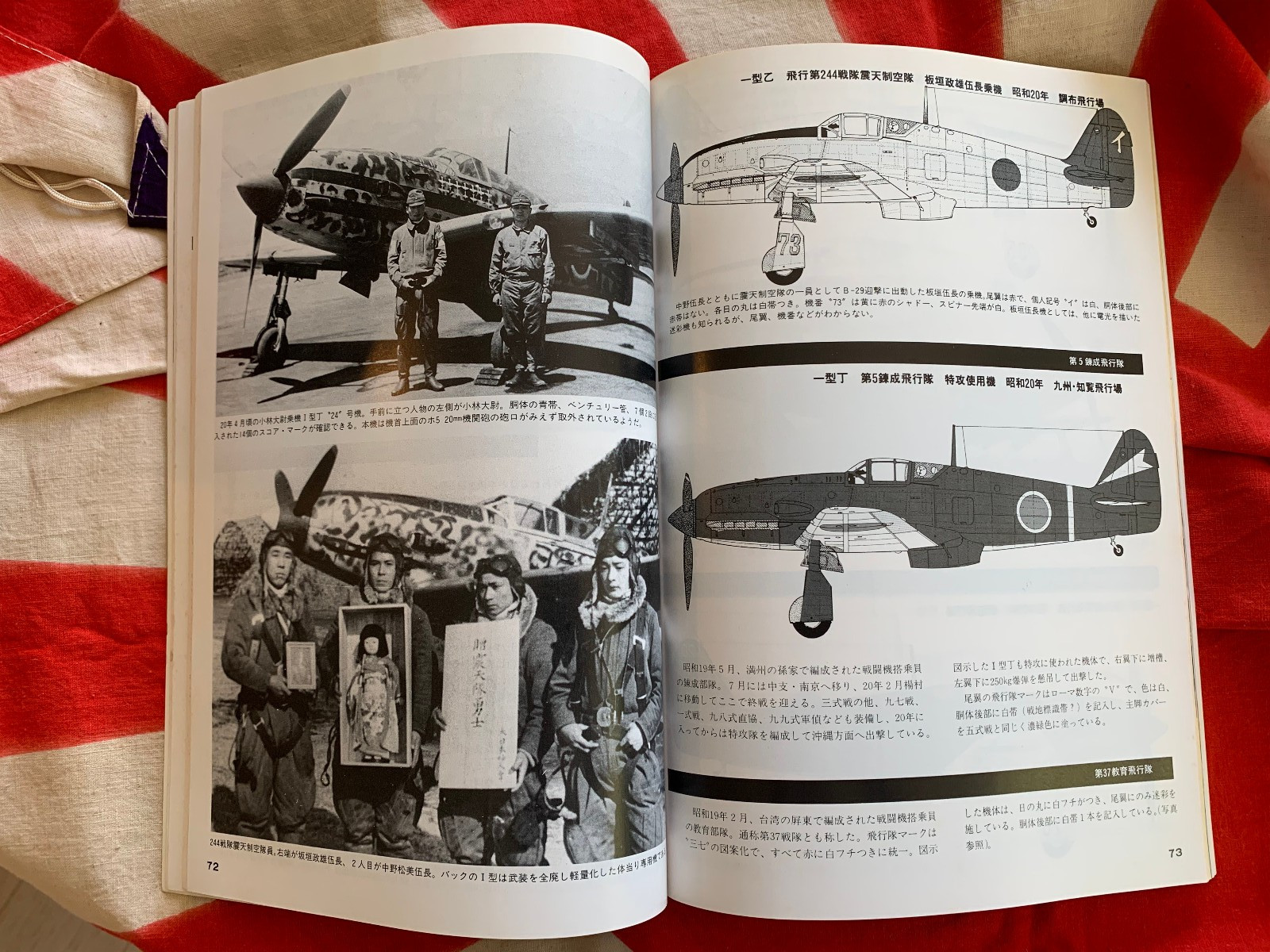 KAWASAKI Ki-61 HIEN TYPE 3 FIGHTER Vintage Model Art 263 FREE USA POSTAGE!