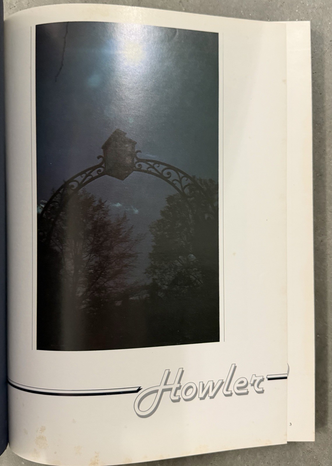 1980 WAKE FOREST UNIVERSITY YEARBOOK, THE HOWLER, WINSTON-SALEM, NC
