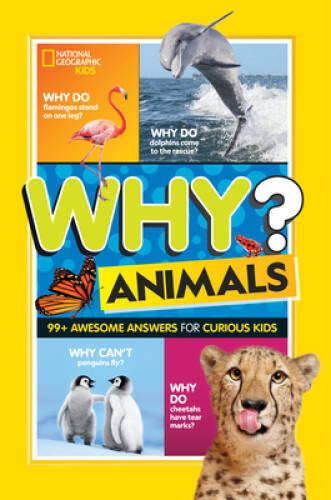 Why Animals: 99 Awesome Answers for Curious Kids – Paperback – VERY GOOD