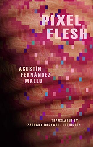 Pixel Flesh – Agustin Fernandez Mallo, Cardboard House Press, Quality